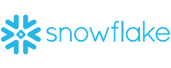 Logo snowflake